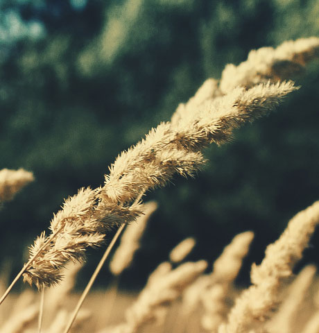 交易市场安全的网站攻击器