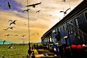 ddos压力测试网页端